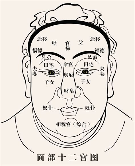 壽眉面相